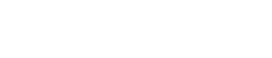 Zephyrvisa Monochrome Logo